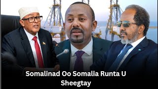 Somalinad Oo Somalia Runta U Sheegtay