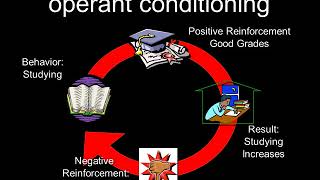 PSYCH- Unit 7- Lesson 2- Operant Conditioning