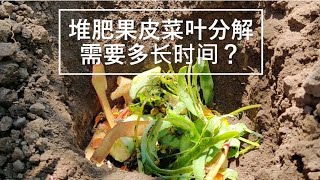 【我的有机小菜园】“最简单的堆肥 当天厨余当天用” 视频的后续 厨余都分解了吗？