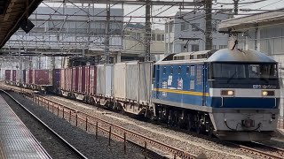 【約７時間半遅れ・ジョイント音最高！】JR貨物EF210形300番309号機（旧塗装）＋コキ26B（両）が大船駅を通過するシーン（2062レ・吹A118・コンテナ輸送）2025.2.16