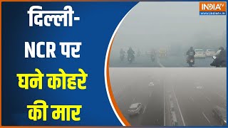 Delhi-NCR Heavy Fog: दिल्ली-NCR में घना कोहरा छाया..कई जगहों पर विजिबिलिटी ज़ीरो | Cold Wave