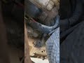 2007 jeep jk 3.8 starter location and how to