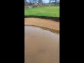 failleak salmon gets caught in golf club bunker