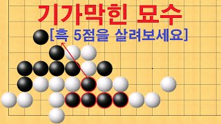 바둑 맥점 사활 - 기가막힌 묘수로 흑 5점을 살려보세요