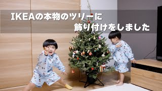 【クリスマス】IKEAのもみの木に飾り付けしました【FX3】