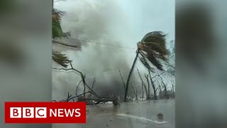 Hurricane Iota: Giant wave smashes into San Andrés shore - BBC News