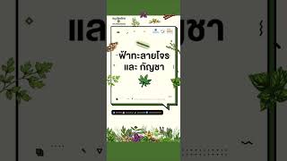 สมุนไพร กับ บทบาทในปัจจุบัน | สุขภาพคนไทย