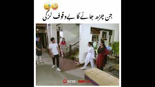 😅Jin Char Jaega Bewakof 🤪 Hum Tum Drama Status #shorts #ViralStatus #viralshorts #pakistandramastat