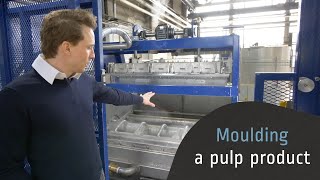 Moulding a pulp product