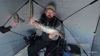 Ice Fishing Strawberry Reservoir, Utah 2025 with underwater camera!