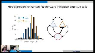 Zhenrui Liao - A biologically plausible inhibitory plasticity rule for world-model learning in SNNs