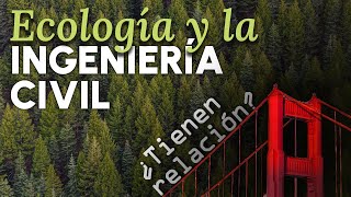 La ECOLOGÍA y la ingeniería CIVIL, ¿tienen RELACIÓN?