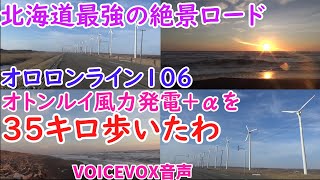 オトンルイ風力発電とサロベツ海岸までオロロンライン１０６を３月の寒い日に１５キロとその他で３５キロ歩いたり走ったりして疲れたわ