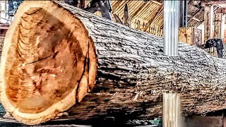 Incredible wood sawmill skills - process of detail sawing teak wood