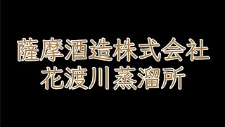 鹿児島の勉強【焼酎トレイル『薩摩酒造株式会社』】