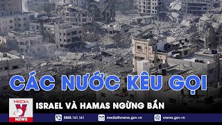 Các nước kêu gọi Israel và Hamas ngừng bắn - VNEWS