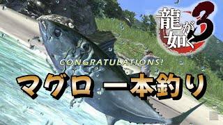 【龍が如くミニゲーム】 マグロ 一本釣り  140～150m エサ:幕の内弁当P【龍が如く3】S4 【HDリマスター】