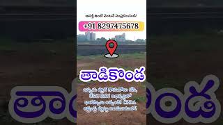 ACRDA Open Plots in Tadikonda for Sale || APCRDA || Tadikonda Land for Sale || Call: +91 8297475678