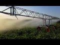 automatic irrigation system