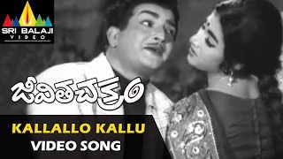 Jeevitha Chakram Video Songs | Kallallo Kallupetti Video Song | NTR, Vanisri | Sri Balaji Video