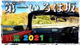 第一いろは坂~紅葉2021         ロードスター､車載動画､4K60fps,イニシャルD