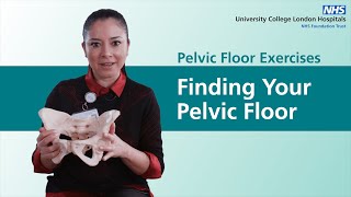 Pelvic Floor Exercises - Finding Your Pelvic Floor