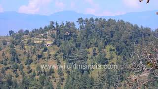 Villages around Landour: Kulti, Kanda, Mathuli villages in Jaunpur, Garhwal