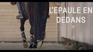 TUTO EQUITATION#3 🐴 - L'épaule en dedans