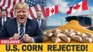 U.S CORN Shipments Rejected Canada’s Premium Corn Lands Billion Dollar Deals