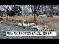 부산서 20대 만취운전자가 몰던 승용차 공원으로 돌진 ytn