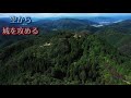 【広大な山城】美作 岩屋城【空から攻める山城】ドローン空撮 mavic2pro the iwaya castle