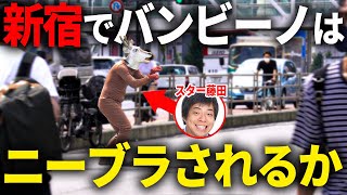 【検証】新宿でバンビーノはニーブラされるのか...!?【ダンソン】