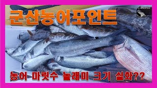 말도권 군산 농어캐스팅 농어낚시 씨배스 농어포인트 농어낚시채비 농어액션/sea bass fishing boting