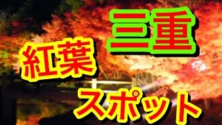 【三重】絶景紅葉スポットベスト10！！美しすぎる伊勢の秋