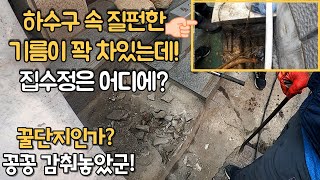 하수구 속 질펀한 기름이 꽉 차있는데! 집수정은 어디에? There's a lot of dirty oil in the sewer! Where is the home fix?