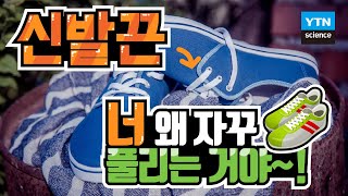 [30초 과학] 신발끈의 이유 있는 반항 / YTN 사이언스