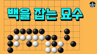 바둑 사활 묘수 - 실전에서 실수하기 정말 쉽습니다. 백을 잡아보세요 (9월 47번문제)