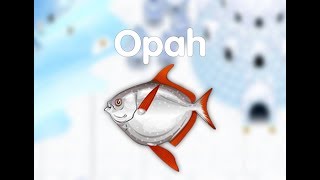 #4- FISHAO | Opah