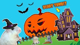 Hamster Halloween Obstacle Course, Treasure Hunt in a Scary Tomb - DIY Halloween Labyrinth Maze