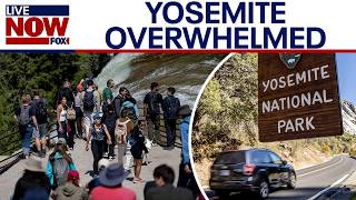 Yosemite no longer requires reservations, now facing Disneyland-level crowds