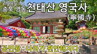 충북 영동 천태산 영국사, 寧國寺, 은행나무, 고려 공민왕, 나라의 평안을 위한 기