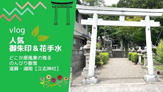 【人気御朱印＆花手水】滋賀湖南・立志神社