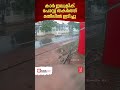 കണ്ണൂരില്‍ മഴയത്ത് റോഡിൽ നിന്ന് തെന്നിമാറിയ കാർ അപകടത്തില്‍പ്പെട്ടു car skid kannur