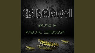 Ebisaanyi