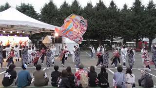 2023 10 8岡部よさこい ﾘｿﾞﾝなるこ会飛鳥④埼工大演舞