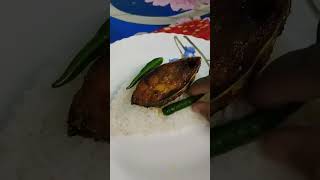 এই বর্ষাকালে ইলিশ মাছ ভাজা দিয়ে ভাত খেলাম// #foodie #ytshorts #viral #foodblogger