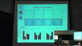 The Role of Cell Geometry in Stem Cells