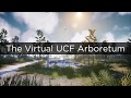 Virtual Nature: Introduction The Virtual UCF Arboretum