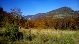 Priroda na dlanu Planina Bobija -  Nature on the palm Mountain Bobija