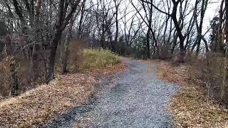 GUNMA【Takasaki nature walk・高崎自然歩道】It is a maintained mountain path comfortable to walk in.